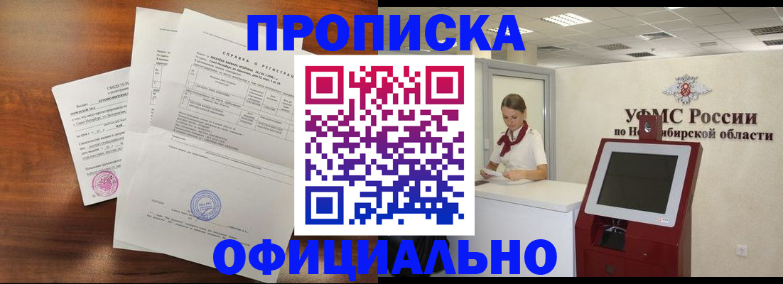 прописка штамп в Лосино-Петровском