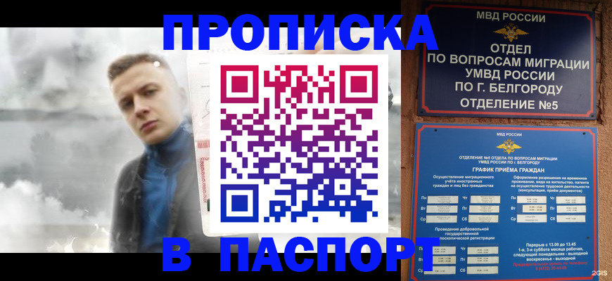 временная регистрация в Лосино-Петровском